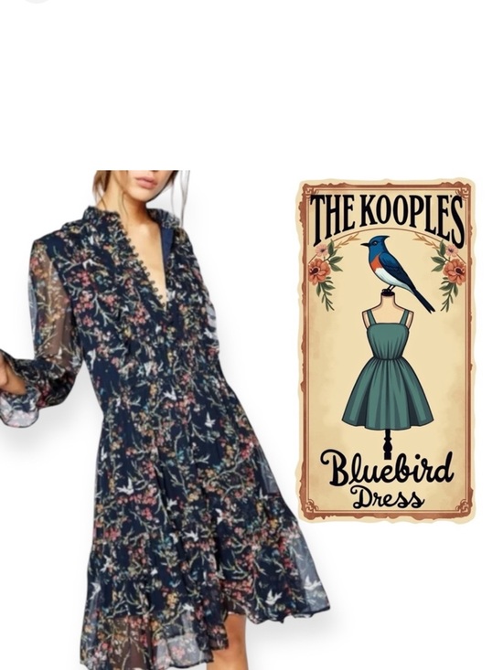 The Kooples Dresses & Skirts - The Kooples Blue Bird Silk Chiffon Dress navy green yellow pink red white Medium